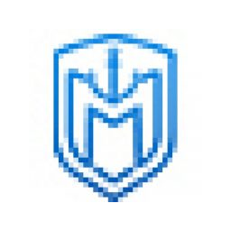 Logo de Naval Martins